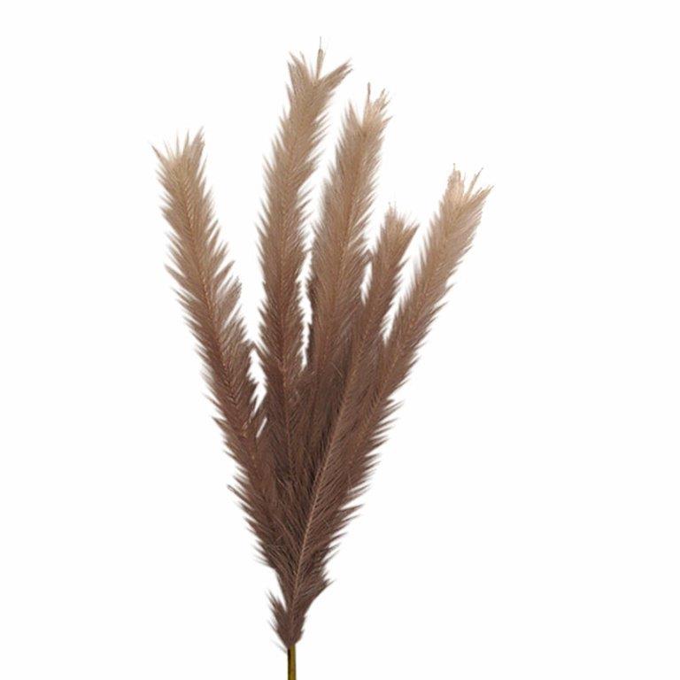 Art Et Lumiere Κλαδί Pampas Καφέ Art Et Lumiere 100εκ. 10645 (Σετ 6 Τεμάχια) (Χρώμα: Καφέ) - Art Et Lumiere - lumiere_10645