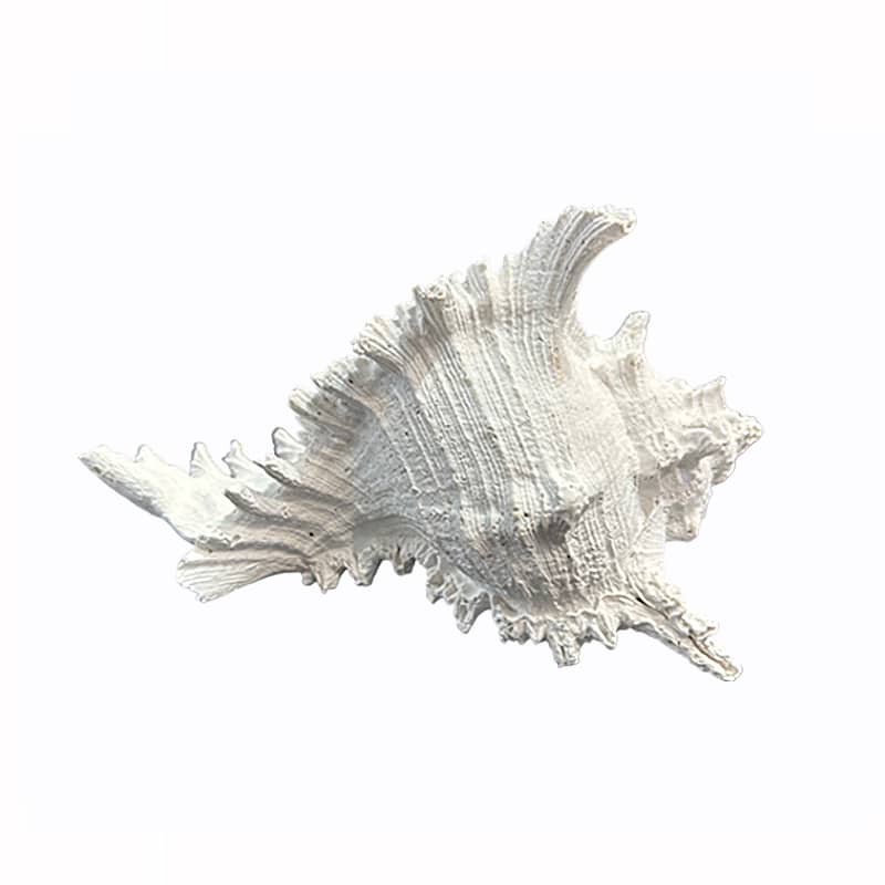 Διακοσμητικό Κοχύλι PC Λευκό Art Et Lumiere 20x17x13εκ. 20150 (Χρώμα: Λευκό, Υλικό: PC-Polycarbonate) - Art Et Lumiere - lumiere_20150