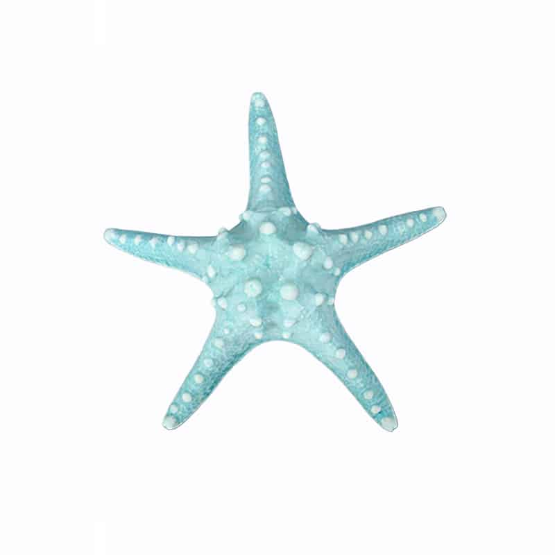 Διακοσμητικός Αστερίας PC Τυρκουάζ Art Et Lumiere 25x25