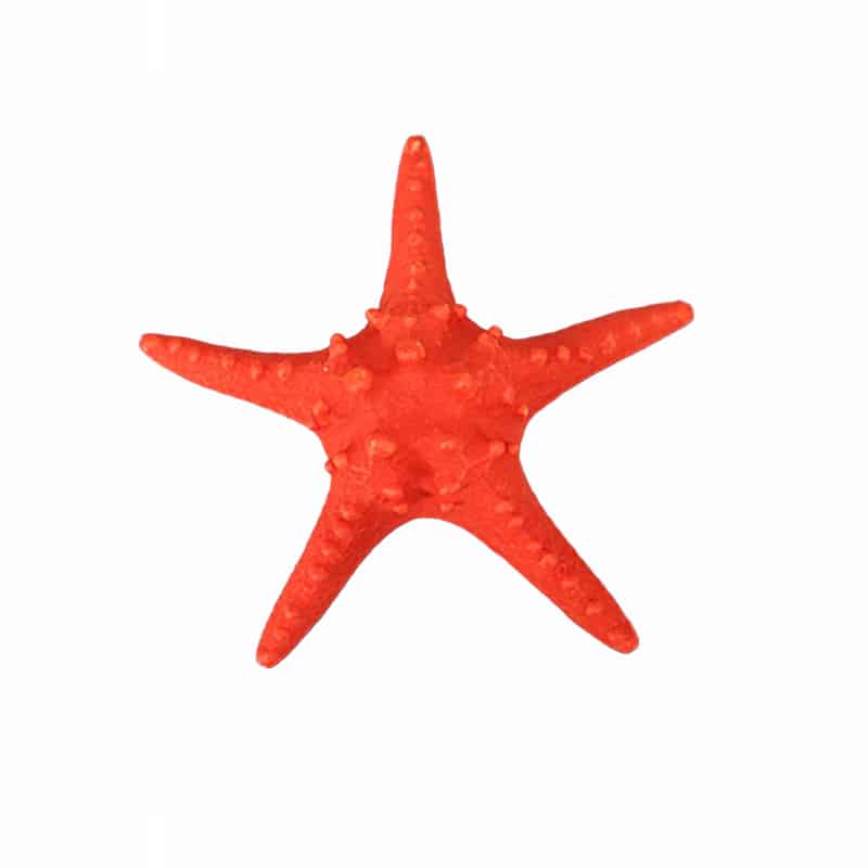 Διακοσμητικά Επιτραπέζια 24home - ΣΗΜΑΝΤΙΚΟ: Σε περίπτωση διαφοράς τιμής από το κατάστημα ισχύει παντα και μόνο η τιμή του καταστήματος Διακοσμητικός Αστερίας PC Κοραλί Art Et Lumiere 25x25x9