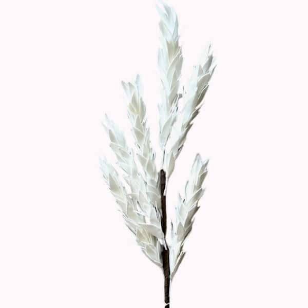 Art Et Lumiere - ΣΗΜΑΝΤΙΚΟ: Σε περίπτωση διαφοράς τιμής από το κατάστημα ισχύει παντα και μόνο η τιμή του καταστήματος Κλαδί Λευκά Λουλούδια 80εκ. Art Et Lumiere 10836 (Σετ 6