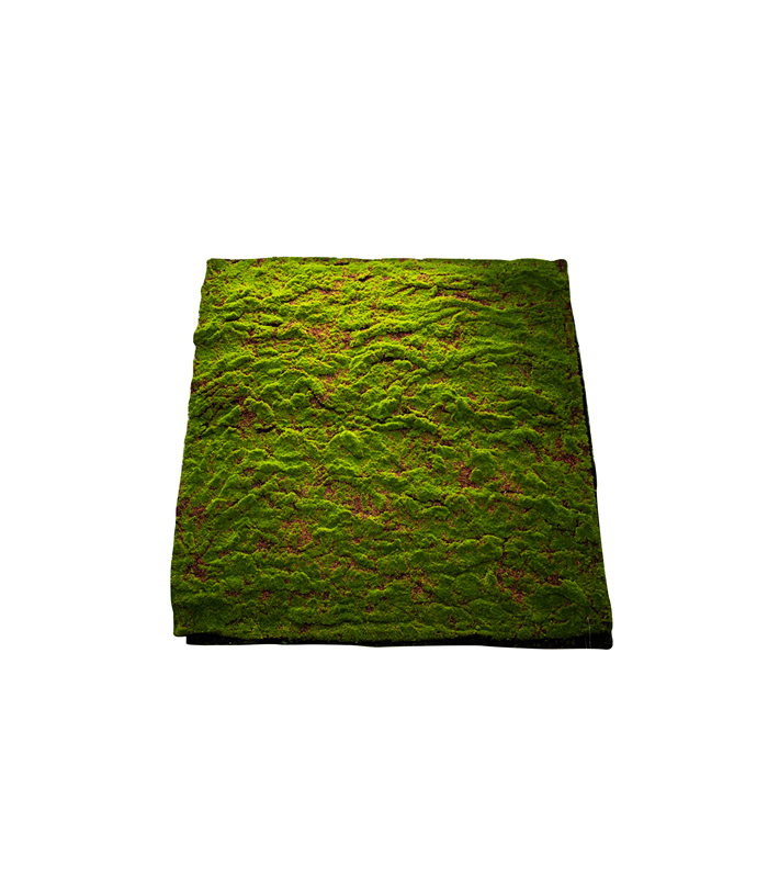 Διακοσμητικά Επιτραπέζια 24home - ΣΗΜΑΝΤΙΚΟ: Σε περίπτωση διαφοράς τιμής από το κατάστημα ισχύει παντα και μόνο η τιμή του καταστήματος Επιφάνεια Βρύα Πράσινη 100x100εκ. MSA 20-99-292 (Χρώμα: