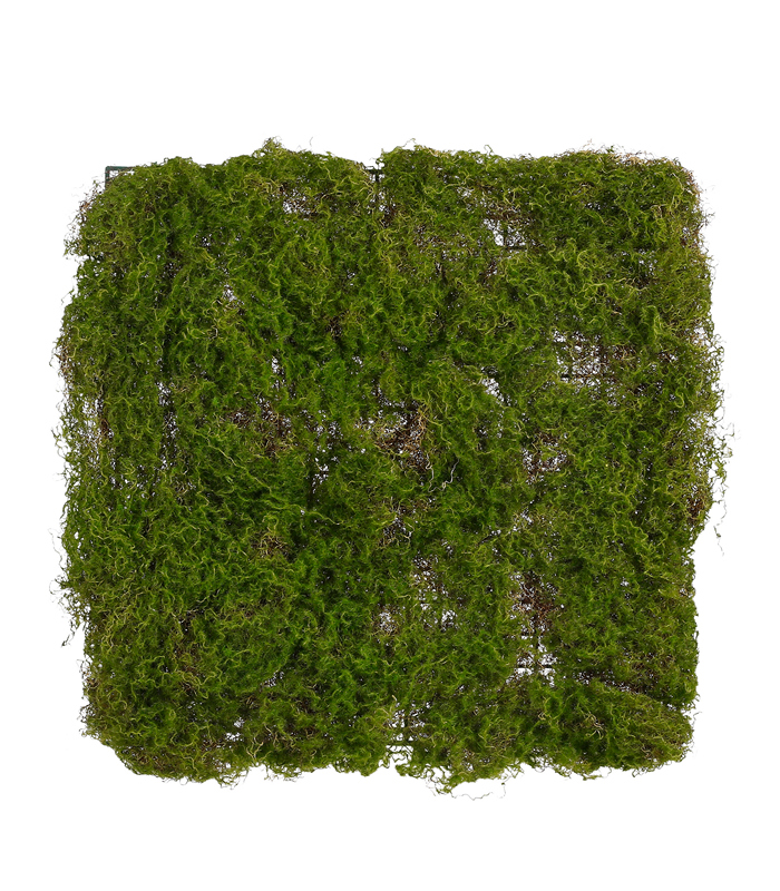 Διακοσμητικά Επιτραπέζια 24home - ΣΗΜΑΝΤΙΚΟ: Σε περίπτωση διαφοράς τιμής από το κατάστημα ισχύει παντα και μόνο η τιμή του καταστήματος Γρασίδι Επιφάνεια Πράσινο 50x50x4εκ. MSA 20-99-153 (Χρώ