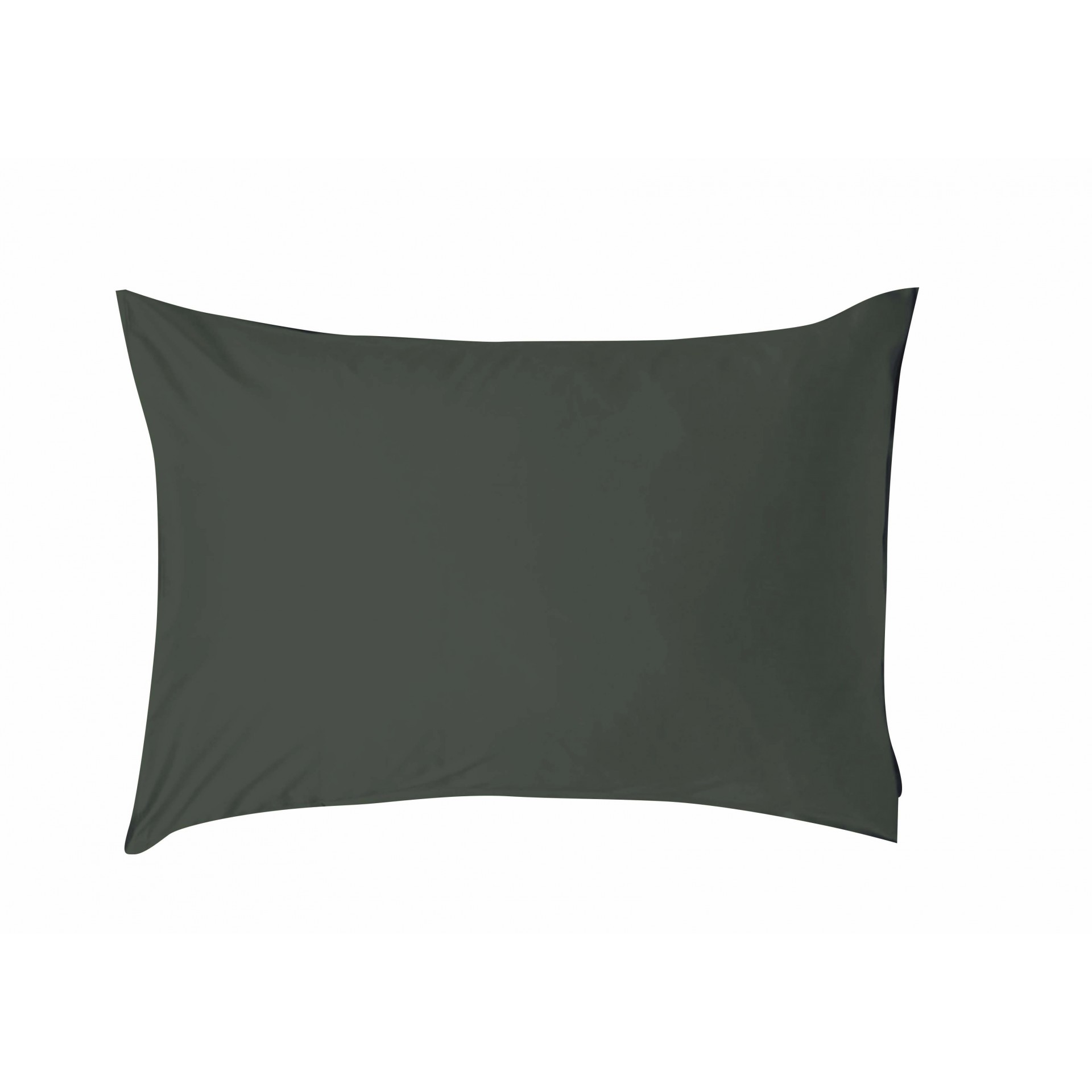 Σεντόνια, Μαξιλαροθήκες 24home - ΣΗΜΑΝΤΙΚΟ: Σε περίπτωση διαφοράς τιμής από το κατάστημα ισχύει παντα και μόνο η τιμή του καταστήματος Σεντόνι Μεμονωμένο Βαμβακερό Μονό 170x270εκ. Note 5 Dar