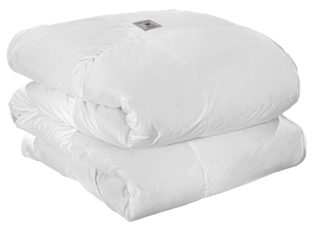 Κουβέρτες, Παπλώματα 24home - ΣΗΜΑΝΤΙΚΟ: Σε περίπτωση διαφοράς τιμής από το κατάστημα ισχύει παντα και μόνο η τιμή του καταστήματος Πάπλωμα Πουπουλένιο-Βαμβακοσατέν Μονό 160x220εκ. A-Clas